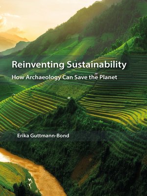 cover image of Reinventing Sustainability